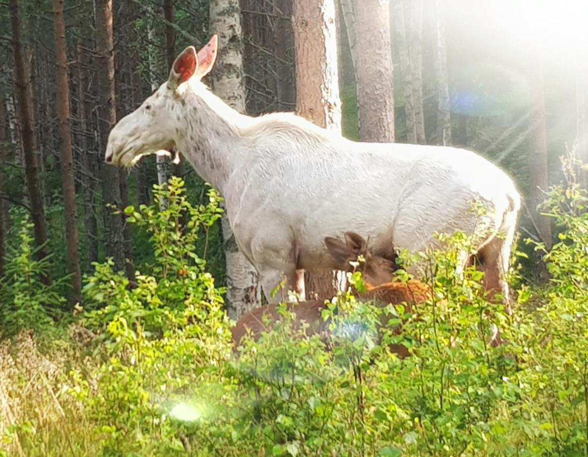Bograngen Lgh B Lägenhet Brograngen Exteriör bild