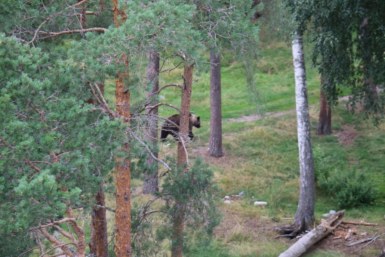 Bograngen Lgh B Lägenhet Brograngen Exteriör bild